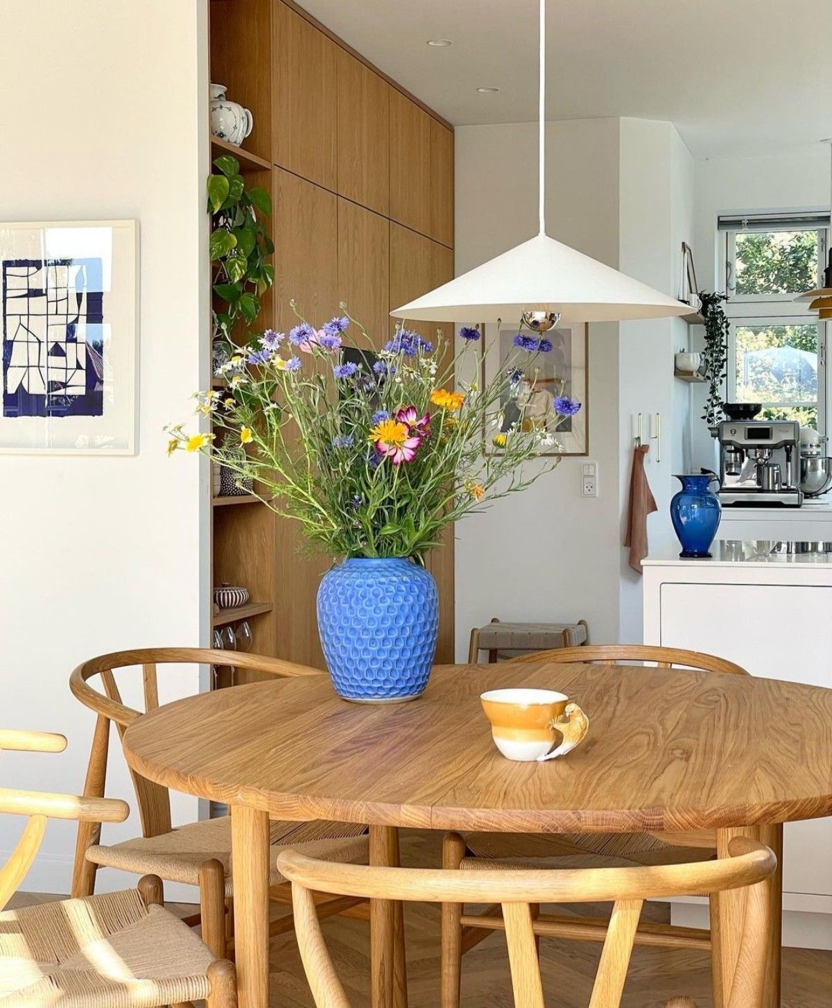 5 Fun Ways to Use Coffee Grounds in the Garden